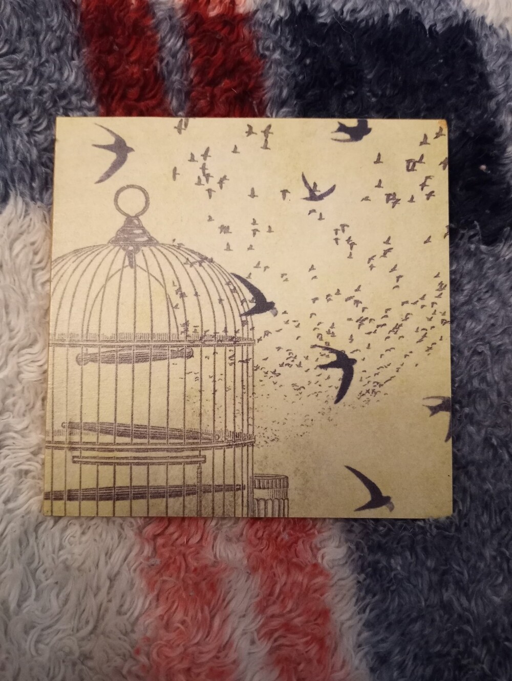 Birdcage Wood Magnet